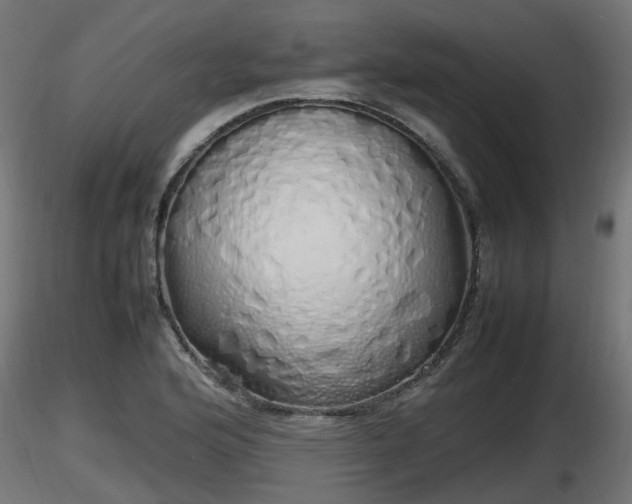 X0000116881176200912291236