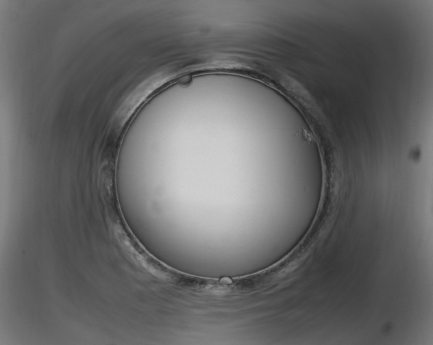 X0000116881177200912291236