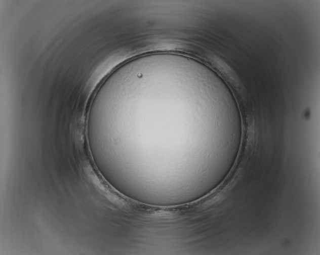 X0000116881178200912291236