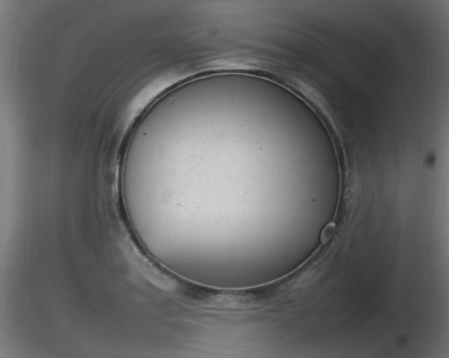 X0000116881179200912291236