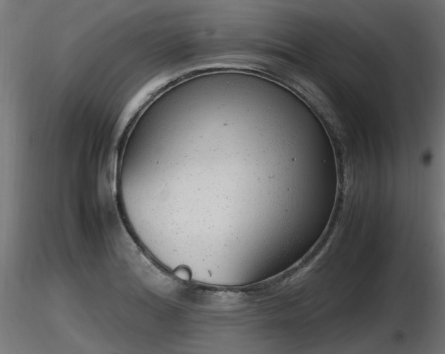X0000116881180200912291236
