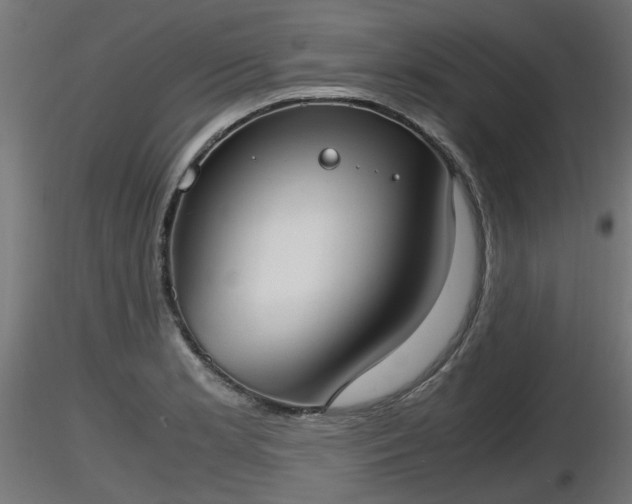 X0000116881181200912291236