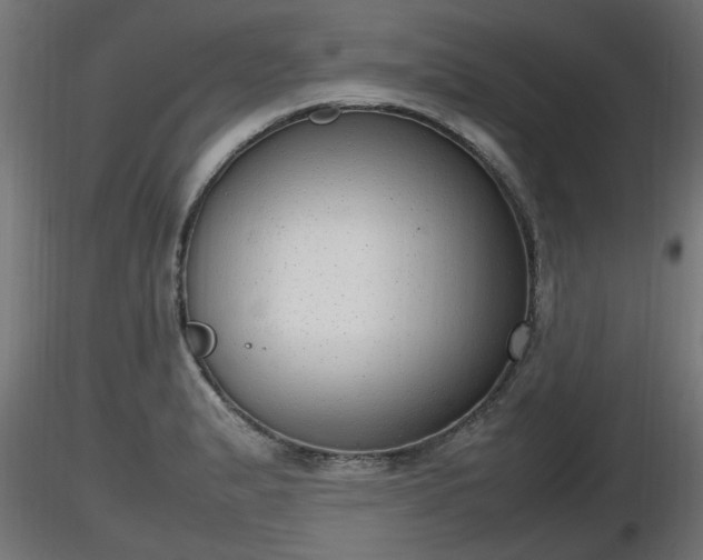 X0000116881183200912291236