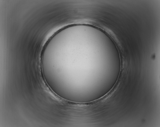 X0000116881184200912291236