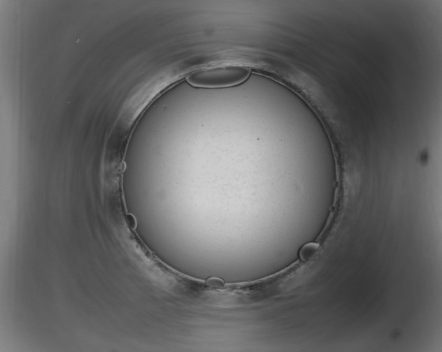 X0000116881185200912291236