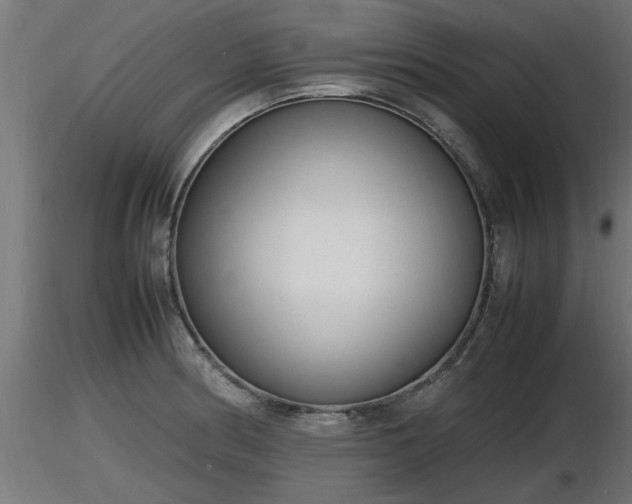 X0000116881186200912291236
