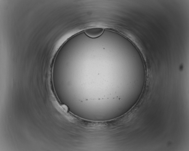 X0000116881187200912291236