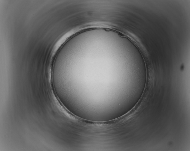 X0000116881188200912291236