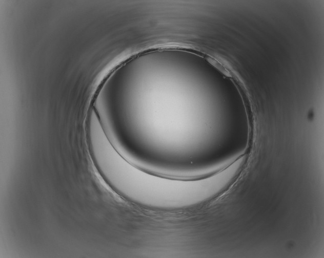 X0000116881189200912291236