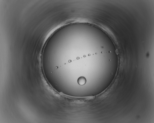 X0000116881190200912291236