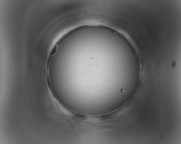 X0000116881191200912291236