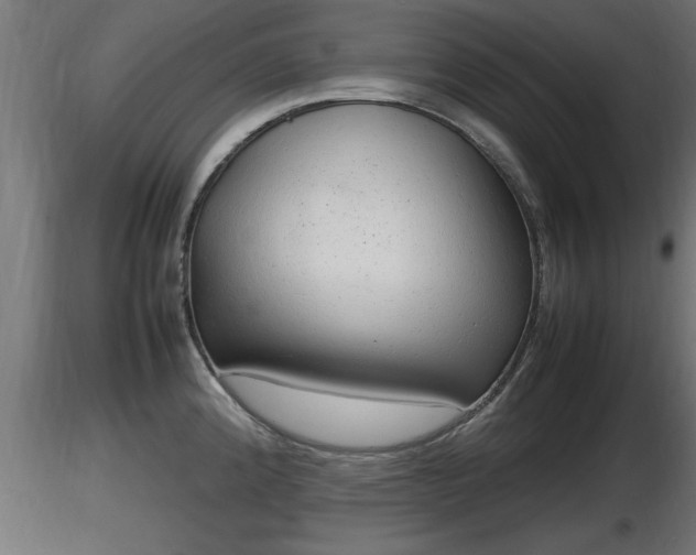 X0000116881192200912291236
