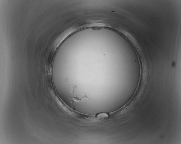 X0000116881193200912291236