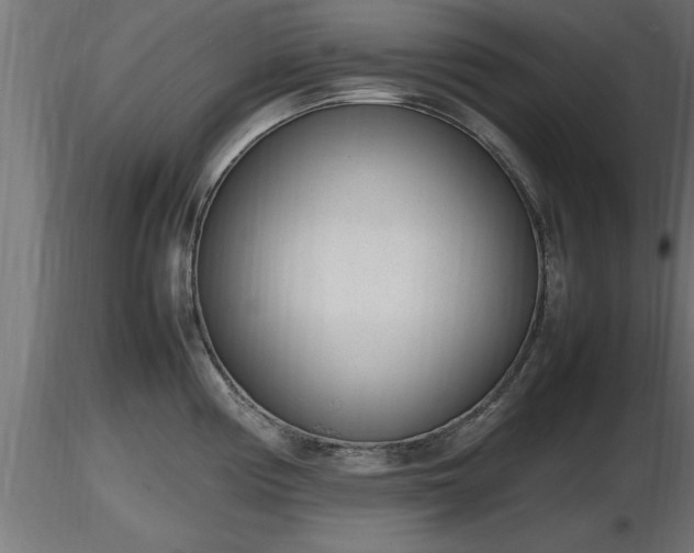 X0000116881194200912291236