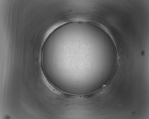 X0000116881195200912291236