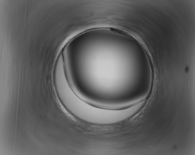 X0000116881197200912291236