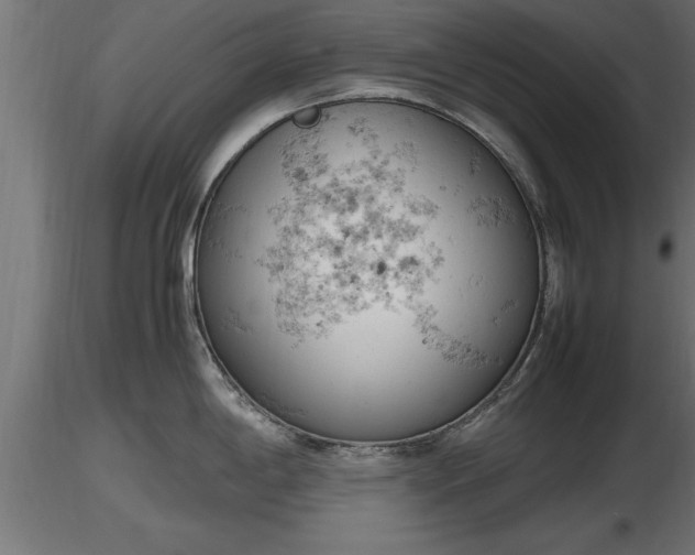 X0000116881198200912291235