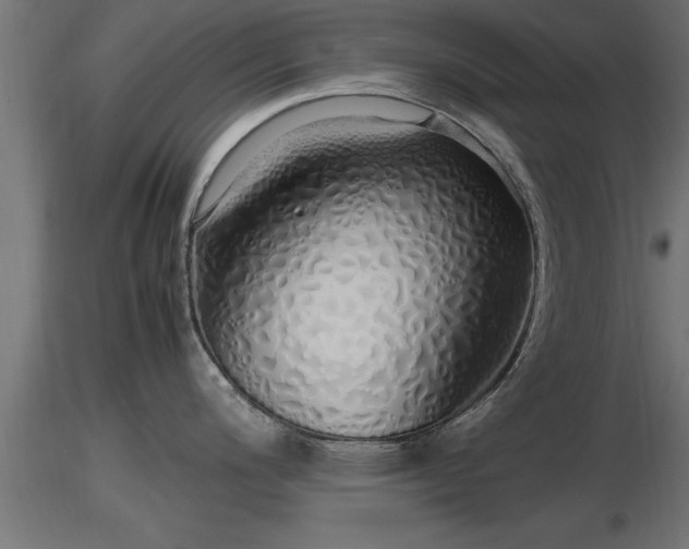 X0000116881200200912291235