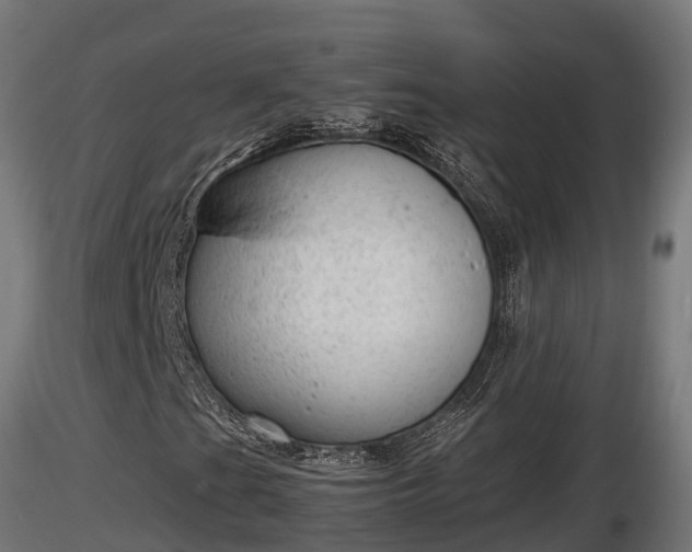 X0000116881201200912291235