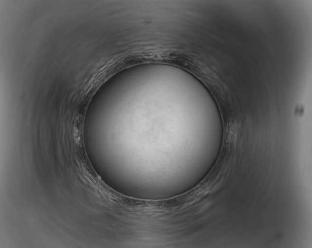 X0000116881202200912291235