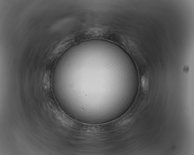 X0000116881203200912291235