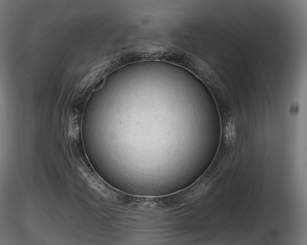 X0000116881204200912291235