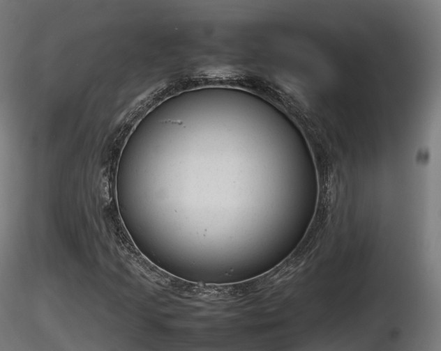 X0000116881205200912291235