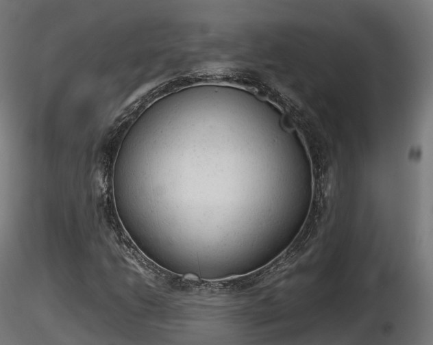 X0000116881206200912291235