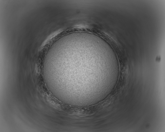 X0000116881207200912291235