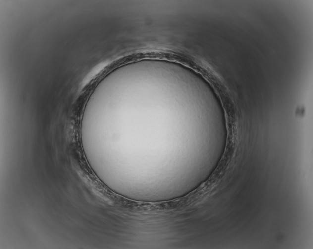 X0000116881208200912291235