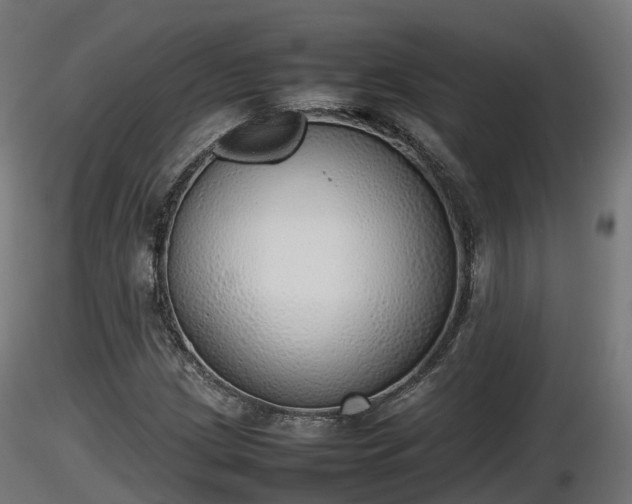 X0000116881209200912291235