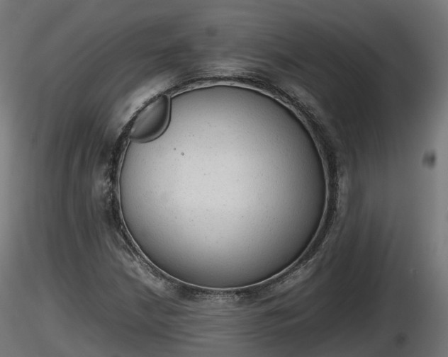 X0000116881210200912291235