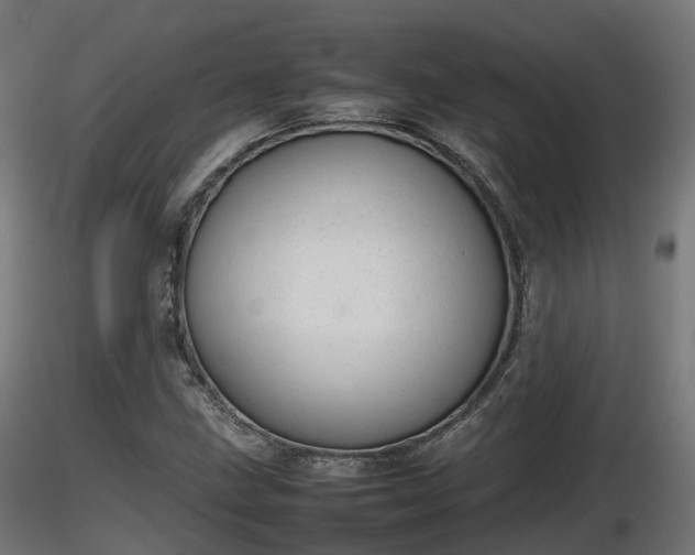 X0000116881211200912291235