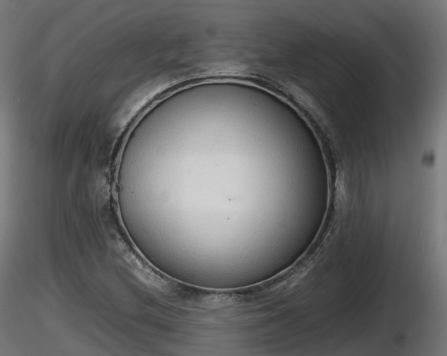 X0000116881212200912291235