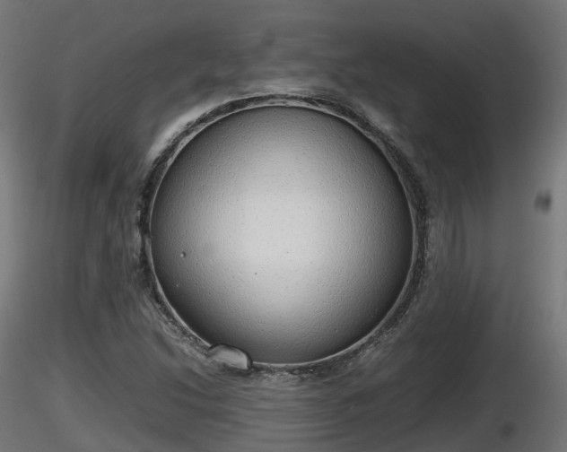 X0000116881214200912291235