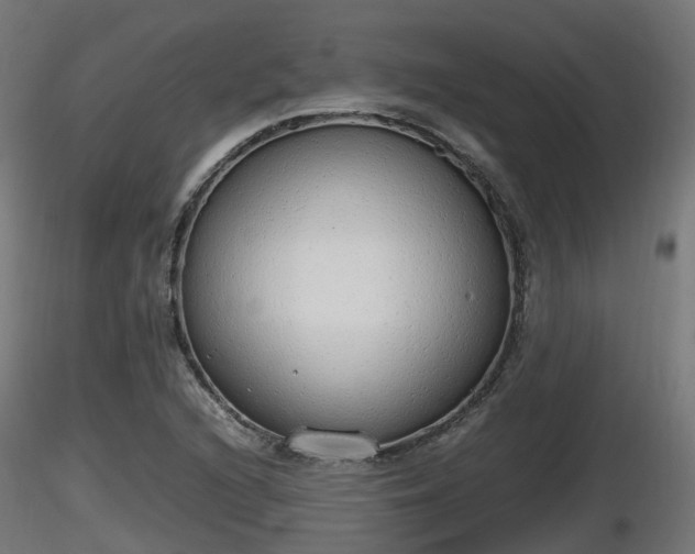 X0000116881216200912291235