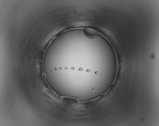 X0000116881217200912291235