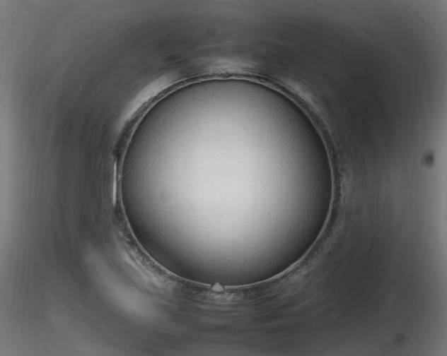 X0000116881219200912291235