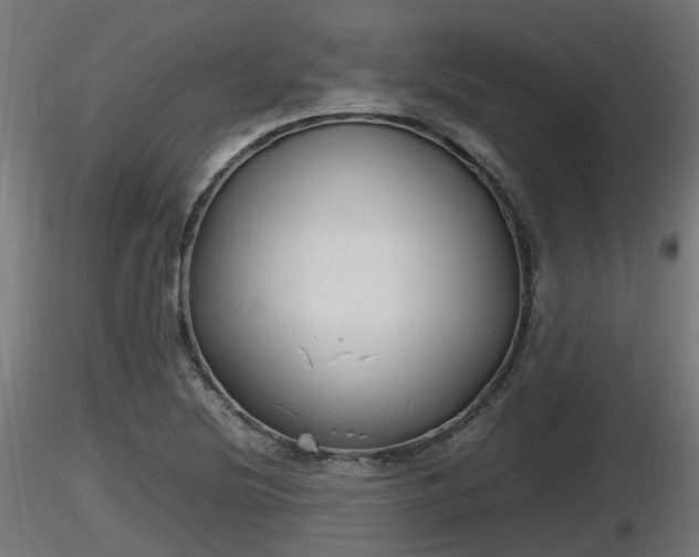 X0000116881220200912291235