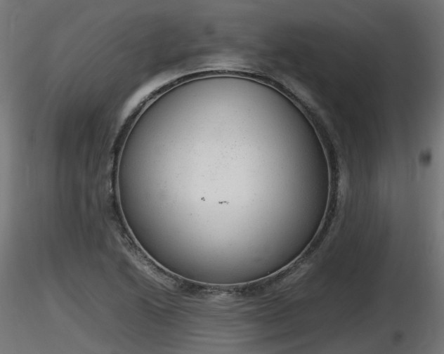 X0000116881222200912291235