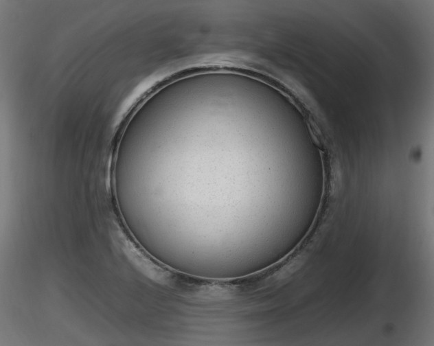X0000116881224200912291235