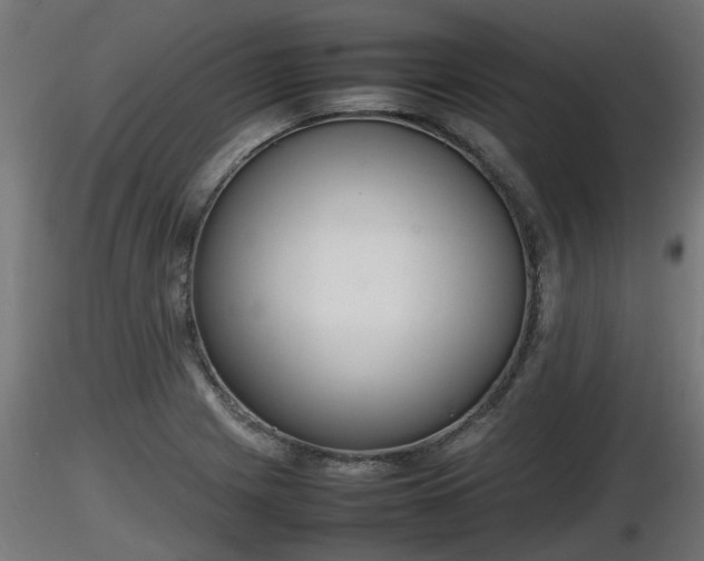 X0000116881225200912291235