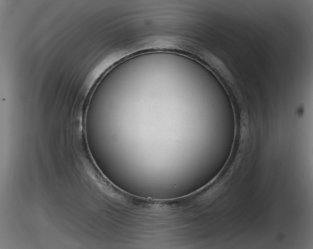 X0000116881226200912291235