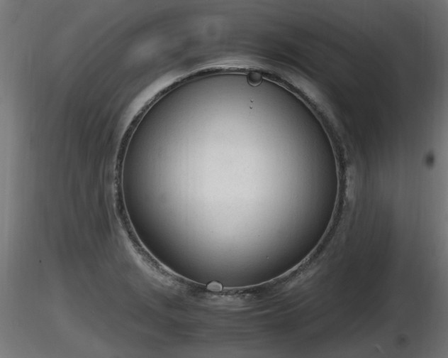 X0000116881229200912291235