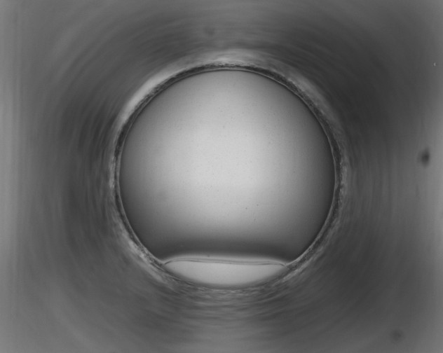 X0000116881232200912291235