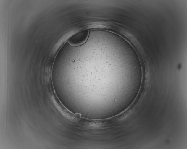 X0000116881233200912291235