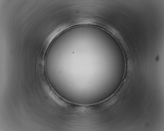 X0000116881234200912291235