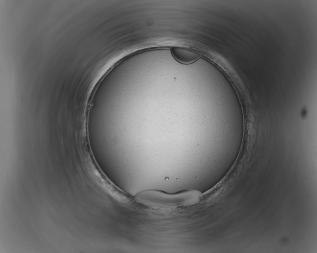 X0000116881236200912291235