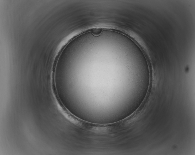 X0000116881237200912291235