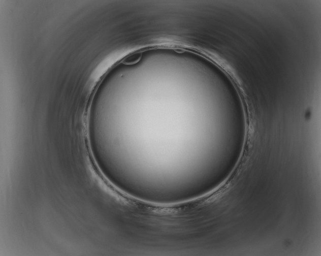 X0000116881239200912291235
